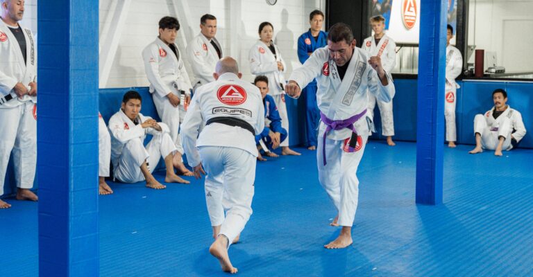 jiu jitsu classes near me